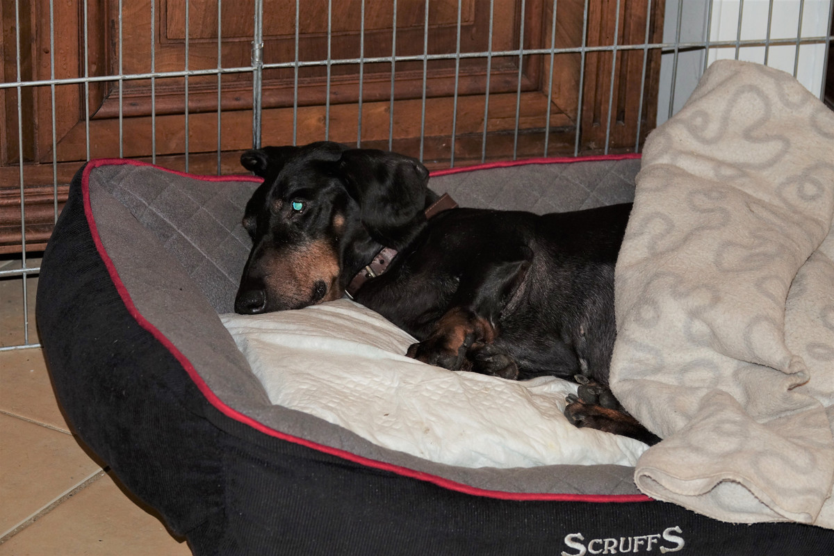 [Image: DSC00001.jpg]