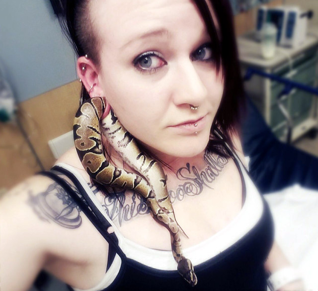 snake-stuck-in-ear-1