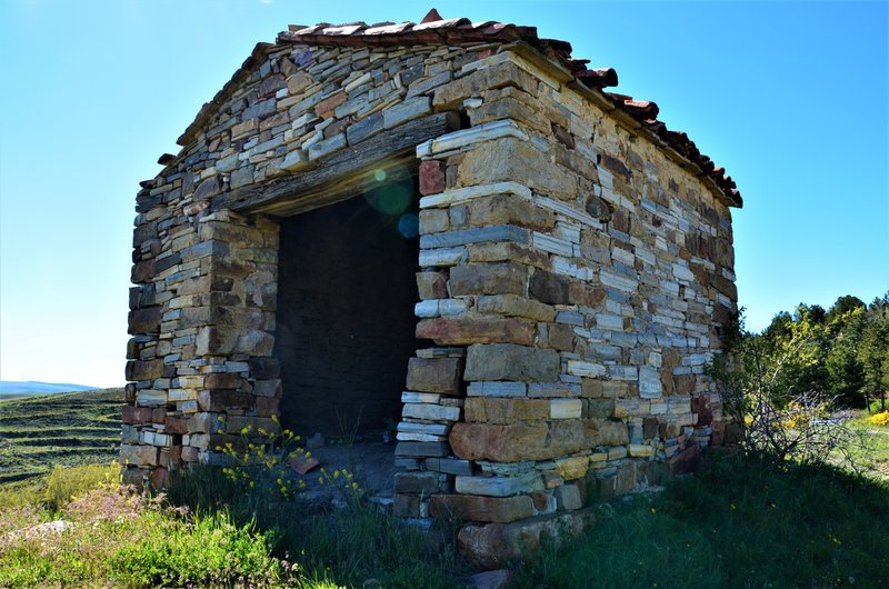 VENTOSA DE SAN PEDRO-25-5-2013-SORIA - Paseando por España-1991/2016 (10)