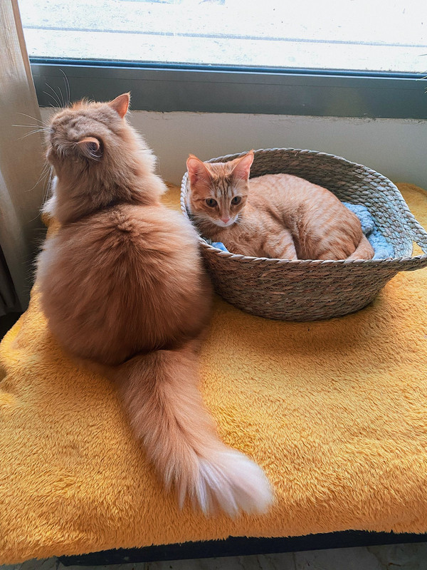 WhatsApp Image 2023-08-21 at 4.30.11 PM (1)