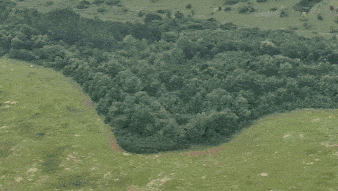 https://i.postimg.cc/jddQ2y4v/video-2026-07-11-03-18-11-(1)-(1).gif