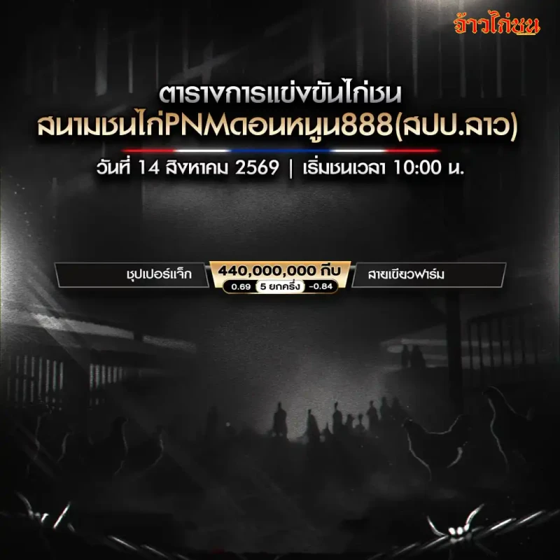 โปรแกรมไก่ชน สนามชนไก่PNMดอนหนูน888 14 สิงหาคม 2569 ภาพรวมโปรแกรม