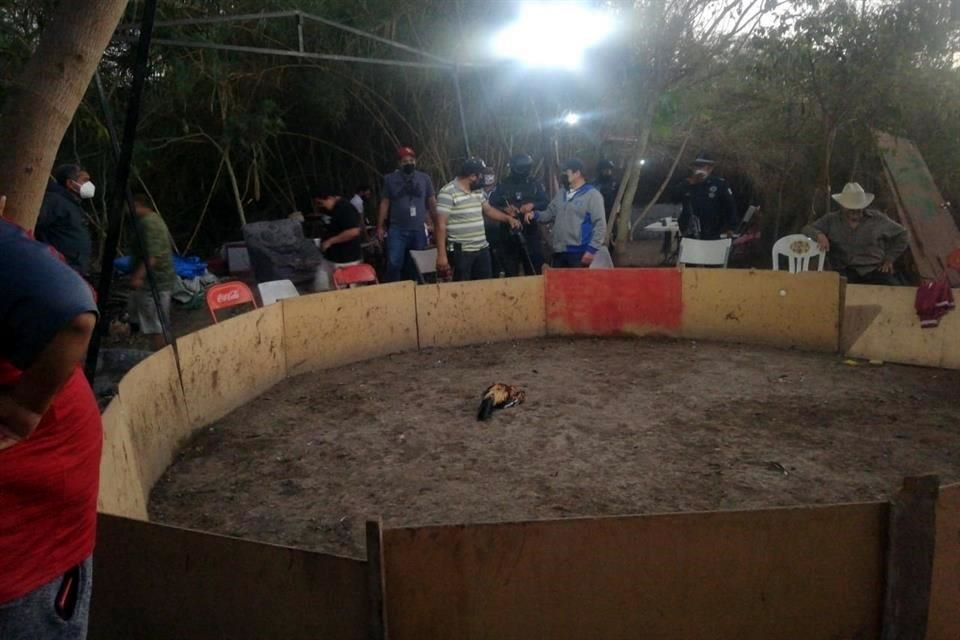 Un muerto y 4 heridos deja balacera en palenque clandestino de Iztapalapa