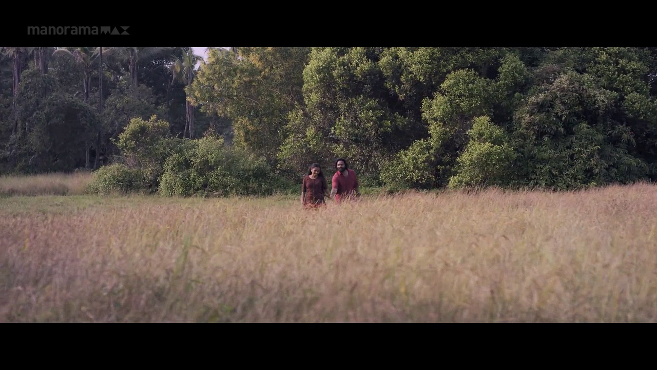 vlcsnap 2026 02 06 18h00m20s674