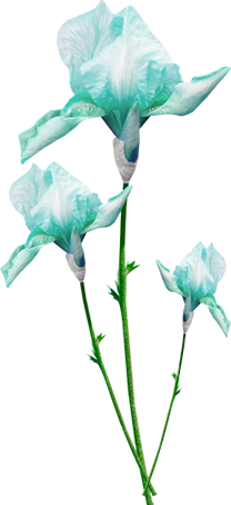 KBK_InTheSpring (46)