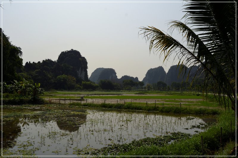 Tam Coc, rios, montañas y campos de arroz. - De la bahía de Halong a los templos de Angkor (11)
