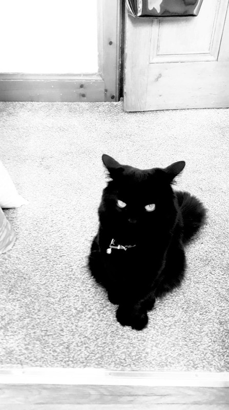 182858750_1742594882611005_5731002974286217107_n