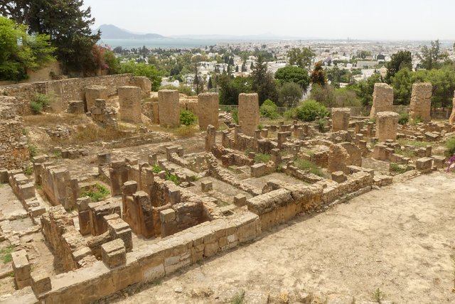 Una semana en Túnez por libre - Blogs de Tunez - Cartago y Sidi Bou Said (2)
