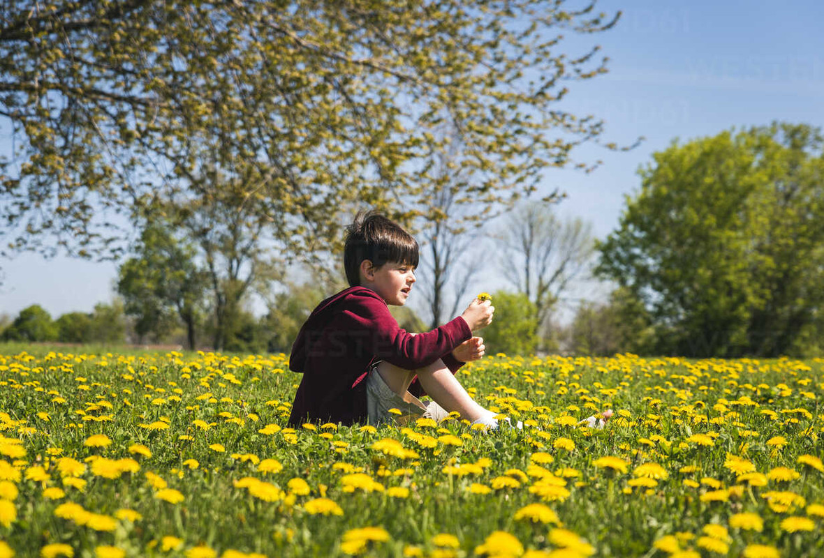Keep Blossoms Blossoming All Season