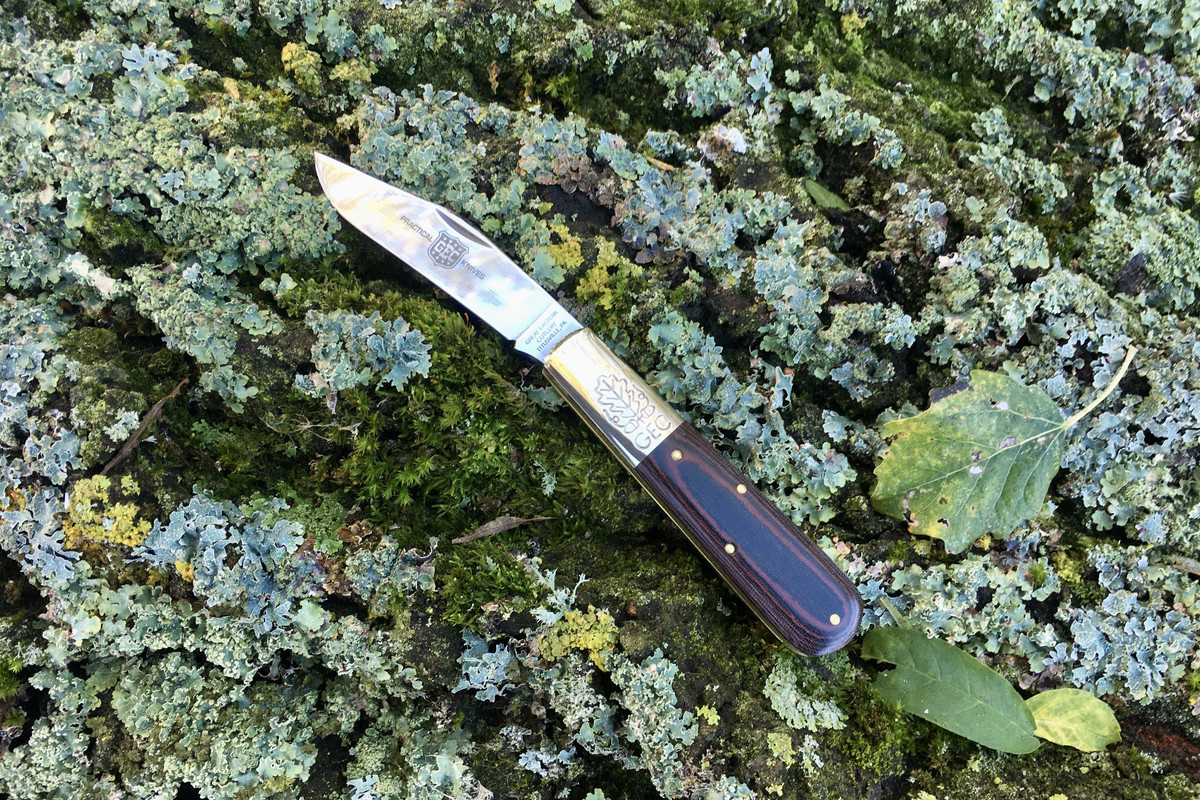 CE3171C7-C037-4274-8113-79EF4AFD92EE