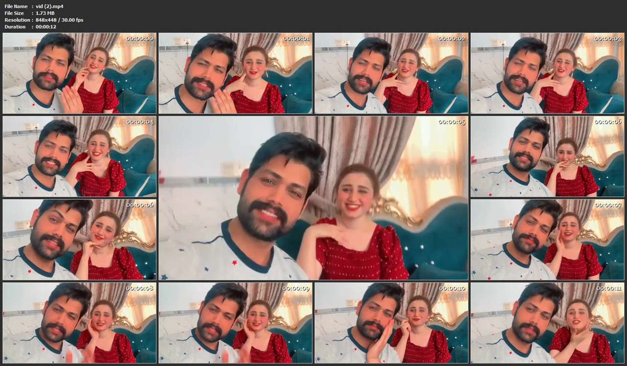 vid (2).mp4