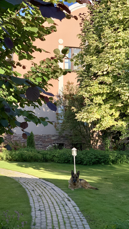 9A436D81-00D1-4657-8D1D-15EA62311648