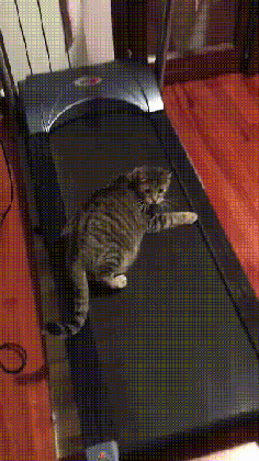 daily-gifdump-3388-24.gif