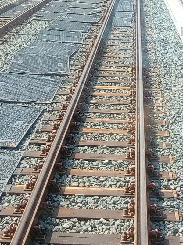 IMG-20190705-090743.jpg