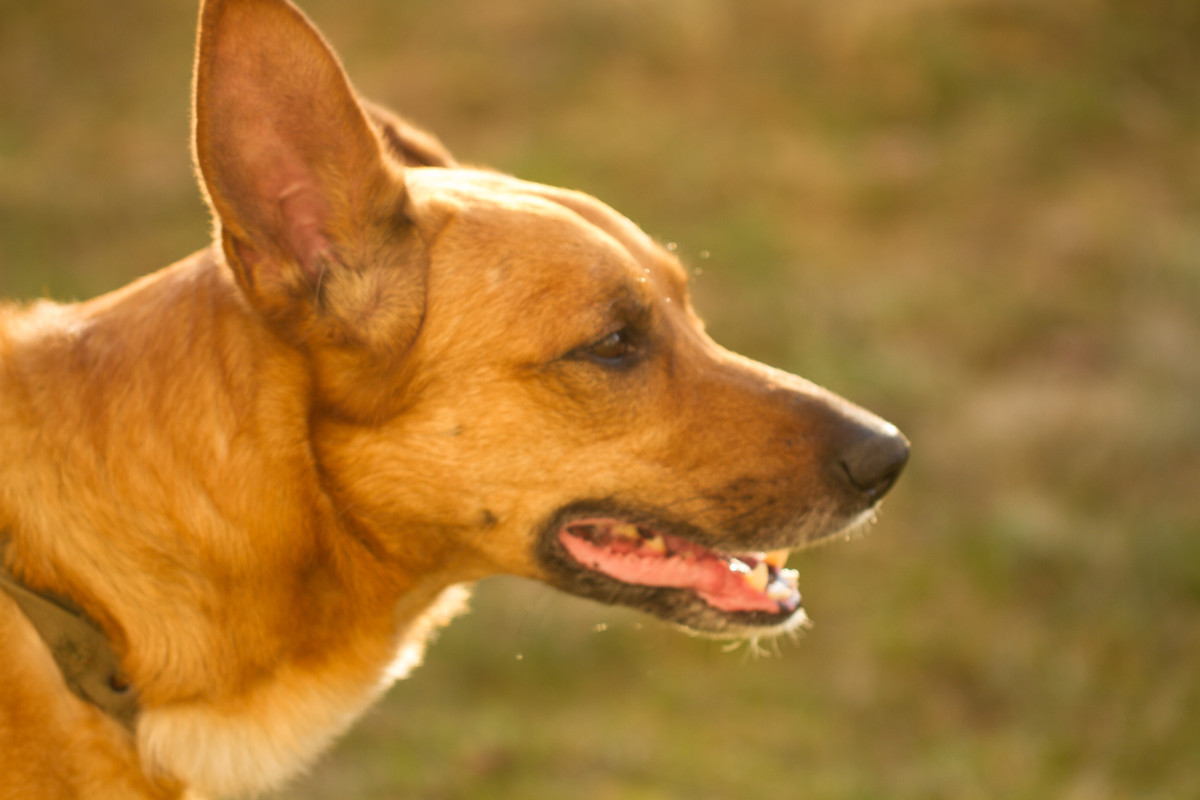 без имени-5348