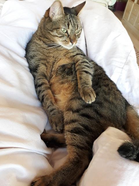 20190622-094937.jpg