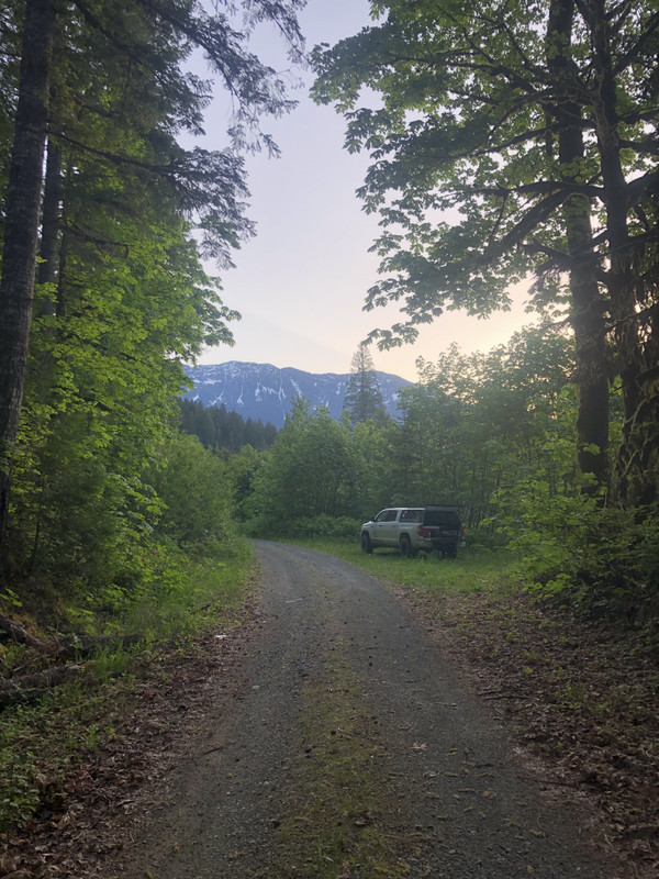 FD9456EF-1328-4F8C-BE6D-902211158E8B