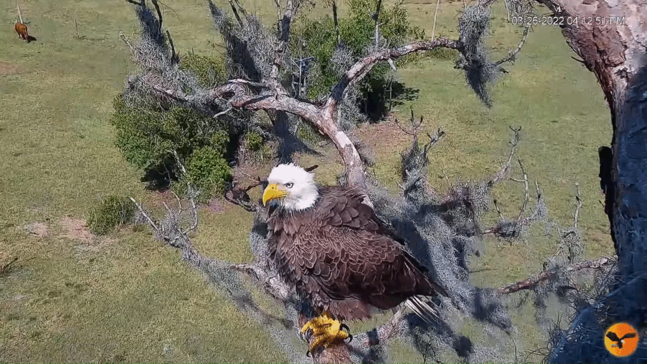 Webp.net-gifmaker (5)