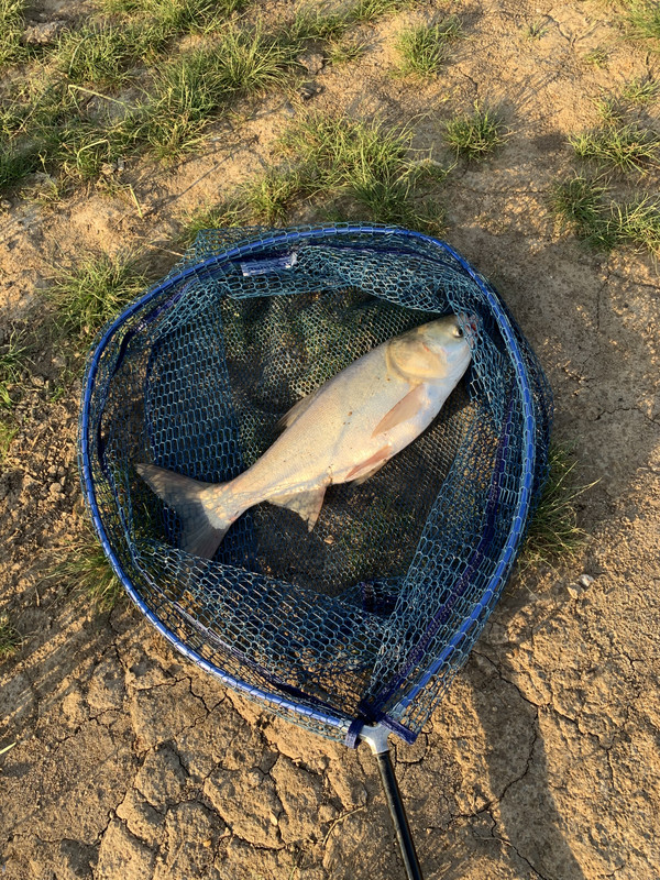 CD2A01D1-BD3C-4FEB-A904-C2E518DCF8C8