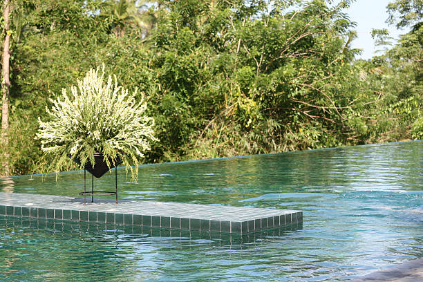 Bali-glamping-resort-7.jpg