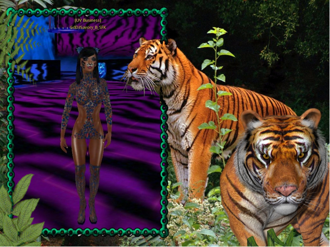 imikimi zo photo (19)3