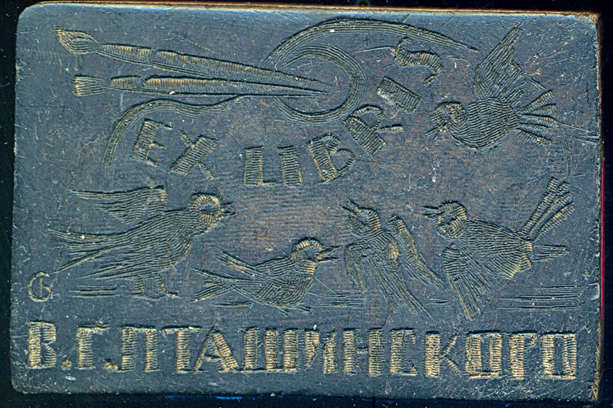 В Г Пташинского