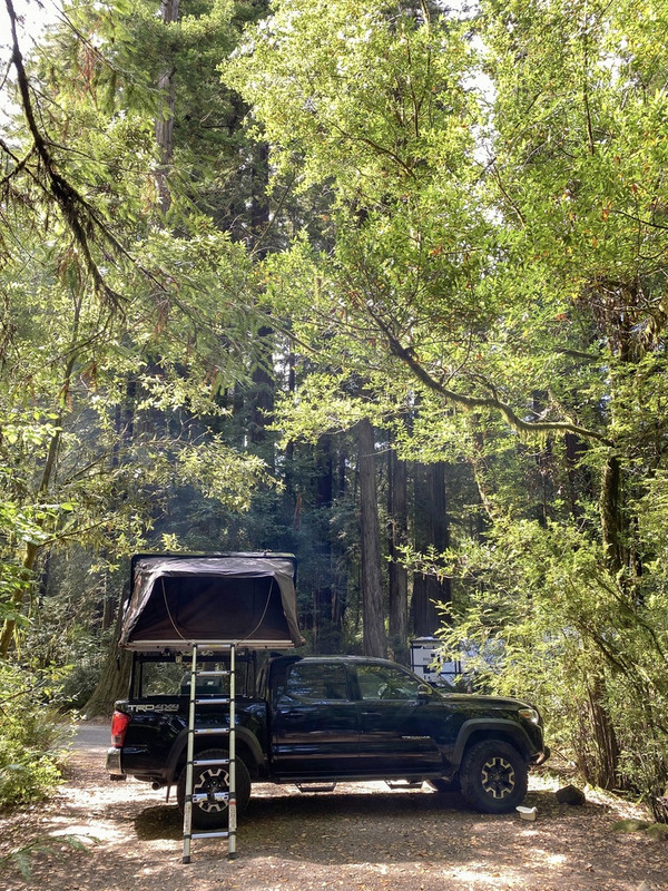 81DC218D-AE0F-46EE-871A-9DA680808C08_1_105_c (1)