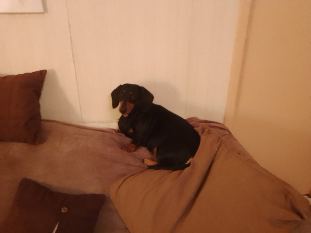 [Image: IMG-20220201-203348.jpg]