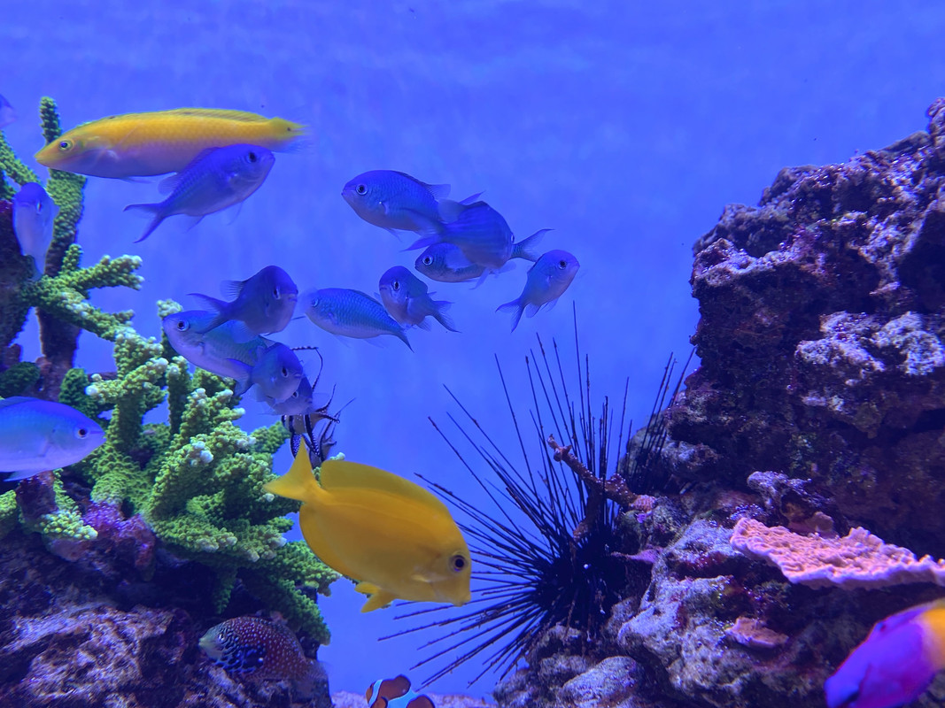 B9C0B942-9C9B-4737-8275-AEE2BCC5F2F1