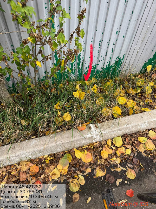 photo 2025 11 06 11 09 06