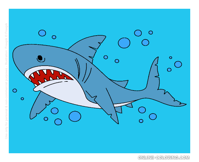 IMG-5428.png