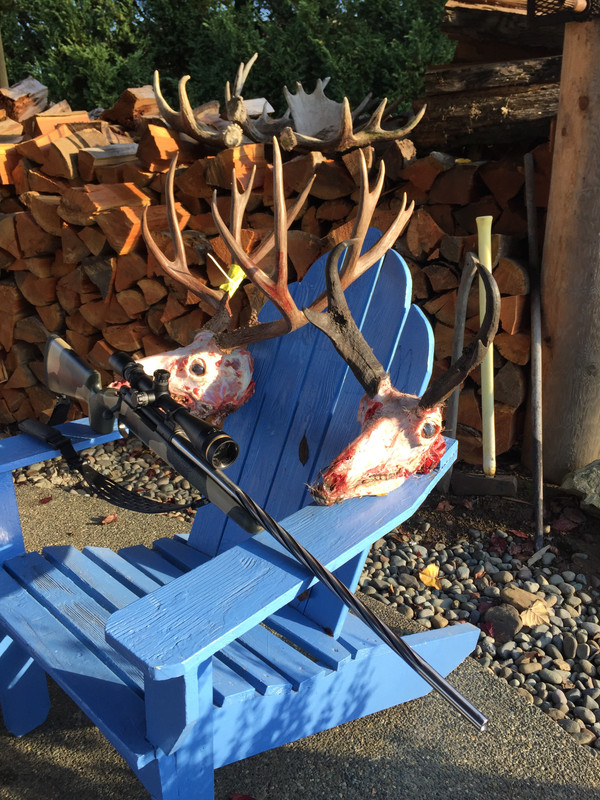 69540193-E7A3-4885-88BD-3281391442B5