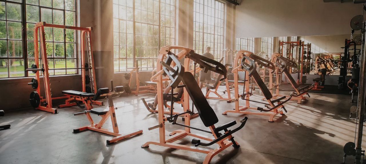 Силовые тренажеры Алфоджим в зале