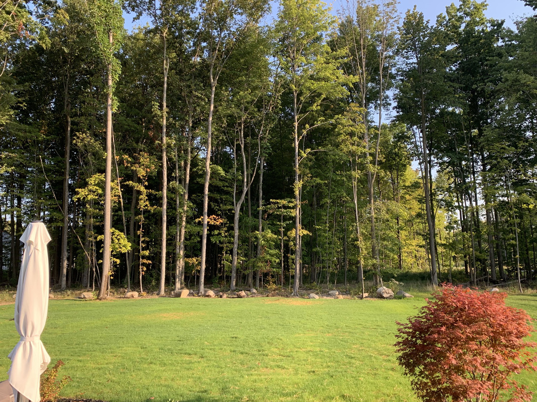 CFI9jZ2uQ26YYE2urf7ZHw