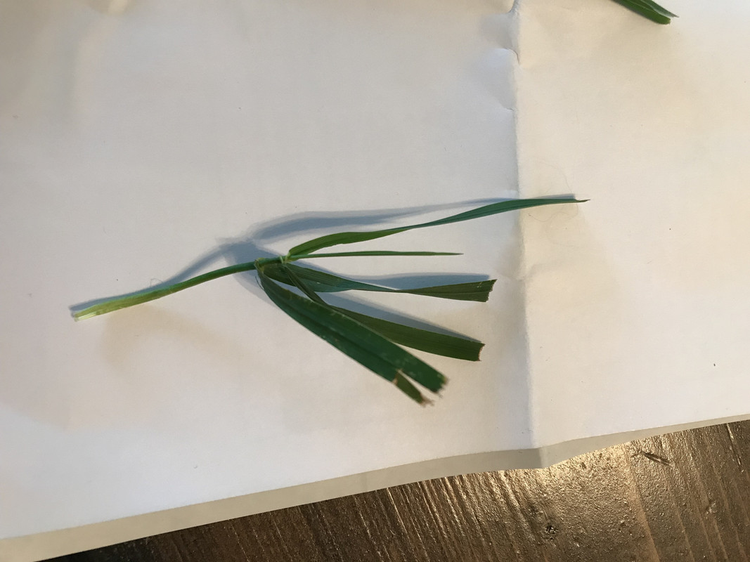 AA731F72-1E2E-421B-ACF6-21D318FA8193