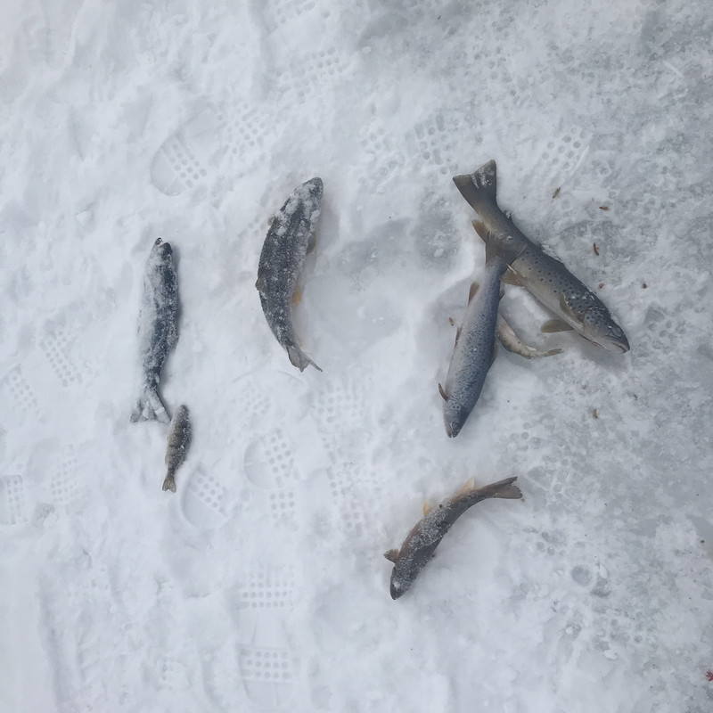 19DDCF6E-7C1B-4C67-A3CF-46B7951D1140