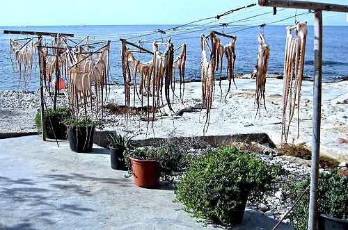 las-rotas-beach-Denia-dried-octopus.jpg