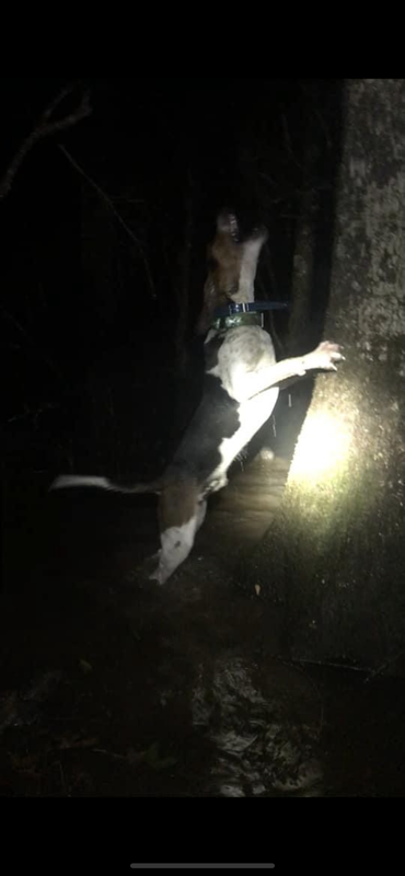 00F9426A-CC80-4B18-AE38-49F20E2BE88F