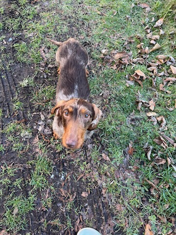 [Image: IMG-20250318-091518.jpg]