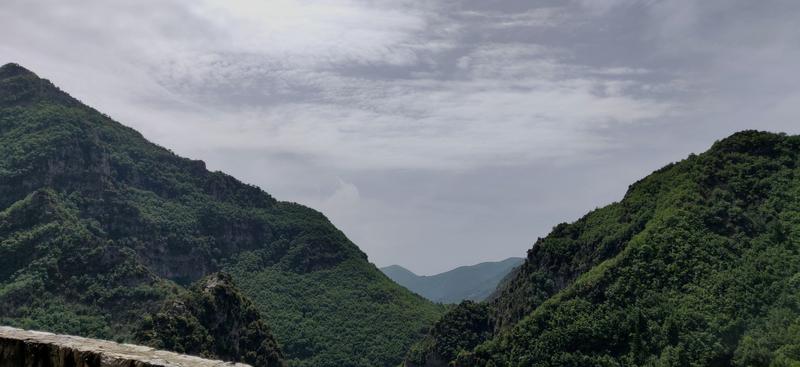 IMG_20190609_122521.jpg.1