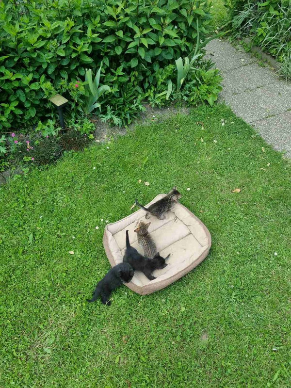 IMG-480d4feaa1914158277594d49fd1db3e-V