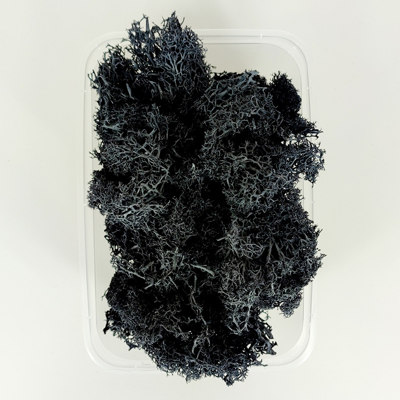 SKU 35 黑色苔藓 20克