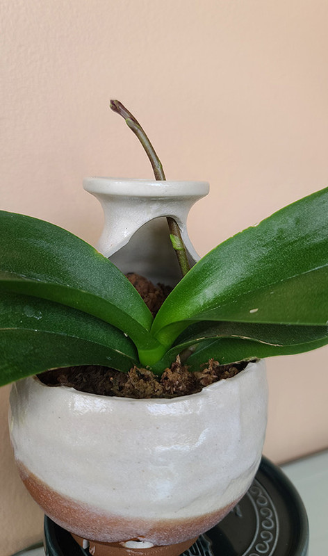 [Image: 20241114-105504.jpg]