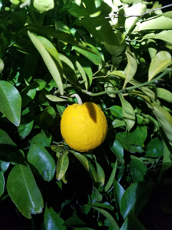 20191203_204022