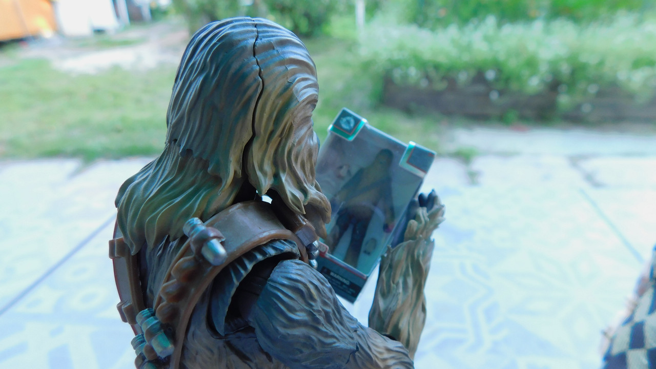 Дачно-барбейское июль, Харлинское 2-я серия 224