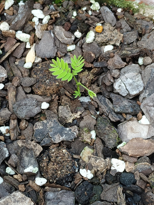 WhatsApp Image 2020-08-07 at 19.58.43 (1)