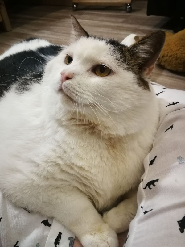 D559E250-E892-48E4-B839-DDAF20B89273