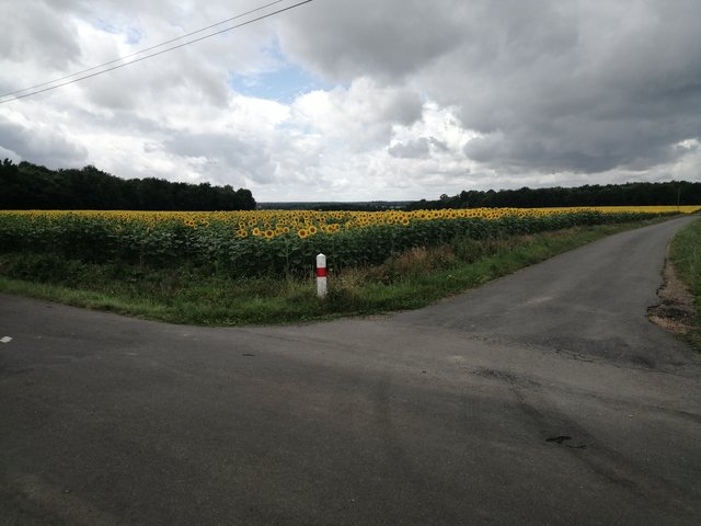 IMG-20220630-130900.jpg