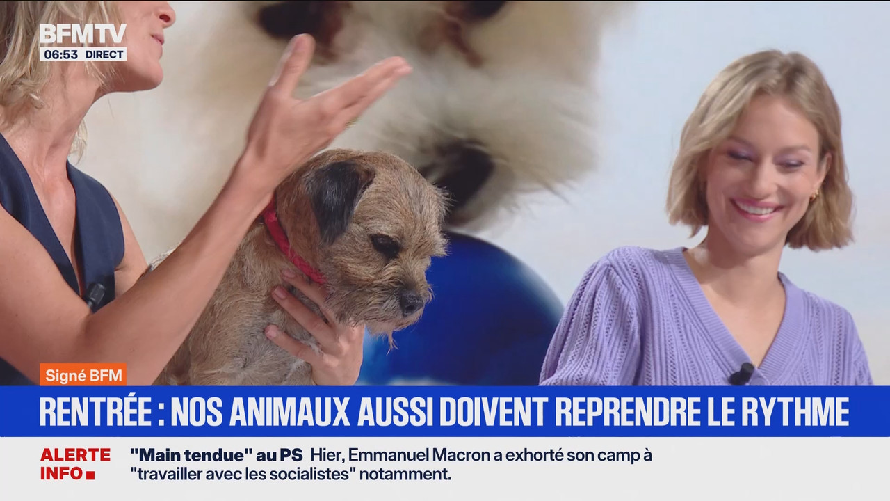 Première édition 6h-8h30 (BFMTV)_2025_09_03_04_55_52.ts_snapshot_00.59.22.852