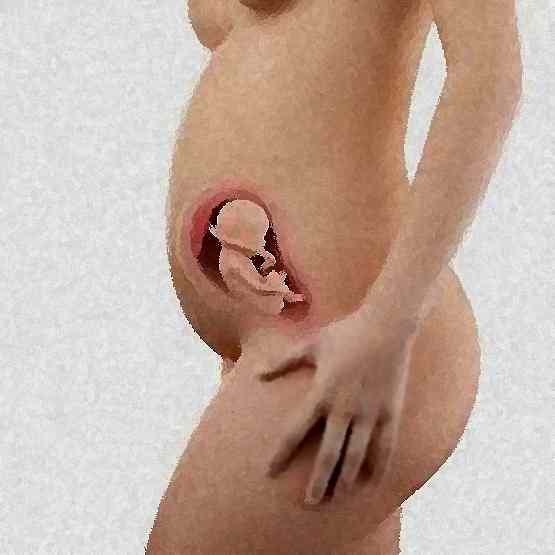 resized-gravidanza